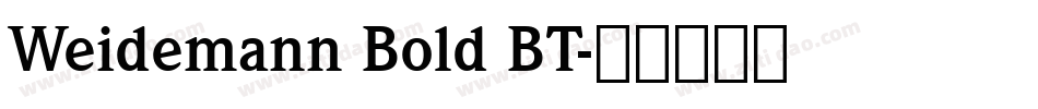 Weidemann Bold BT字体转换